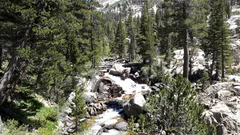 Bubbs Creek Water Flowing Stock Footage 137549671