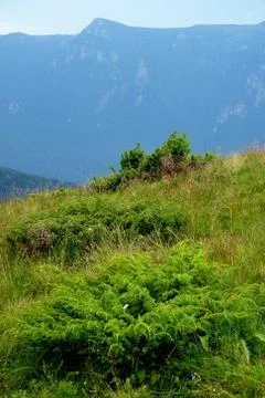 Bucegi Mountain Foto stock