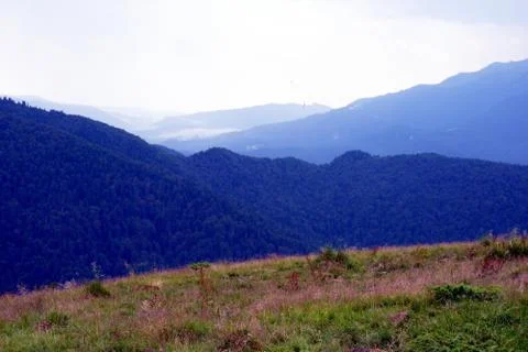 Bucegi Mountain Stock Photos