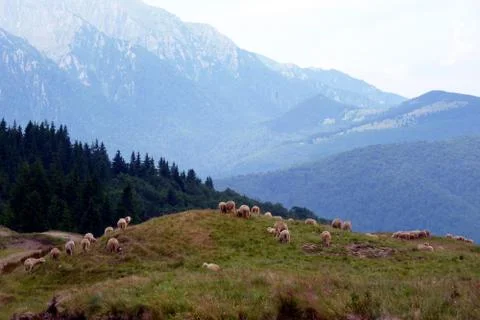 Bucegi mountain Stock Photos