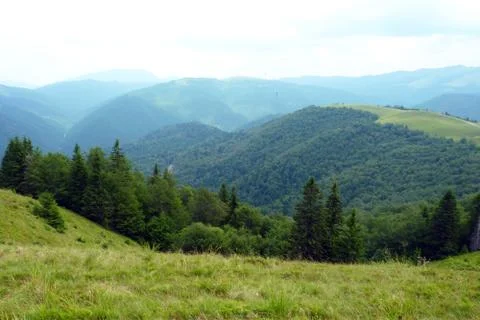 Bucegi Mountain Stock Photos