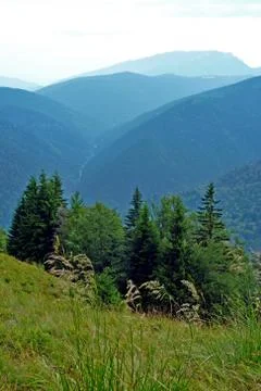 Bucegi Mountain Stock Photos
