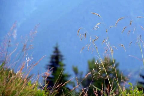 Bucegi mountain Stock Photos