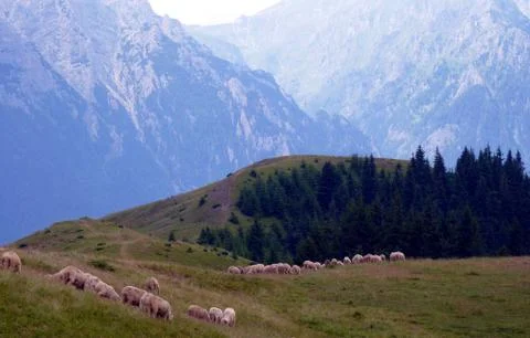 Bucegi mountain Foto stock