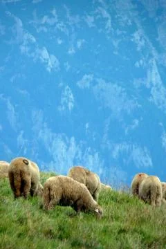 Bucegi mountain Stock Photos