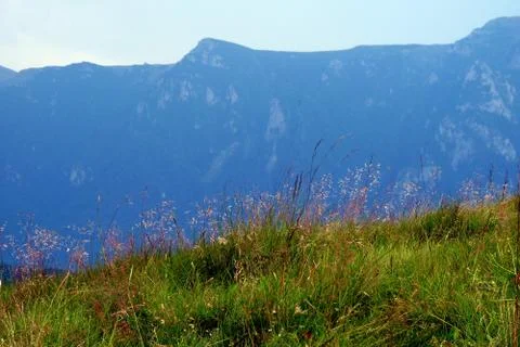 Bucegi Mountain Stock Photos