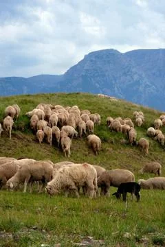 Bucegi mountain Stock Photos