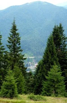 Bucegi Mountain Stock Photos