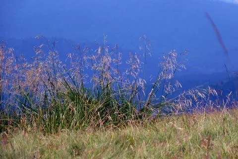 Bucegi mountain Stock Photos