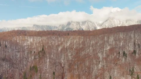 Bucegi mountain revealed behind forest Stock Footage 197255160