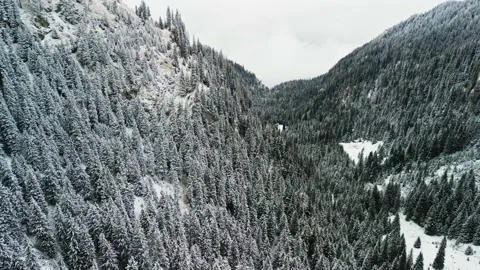 Bucegi Mountains Covered in Snow Stock Footage 222735357