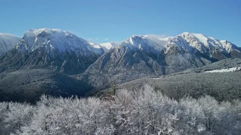 Bucegi Mountains Forest Stock Footage 231554692