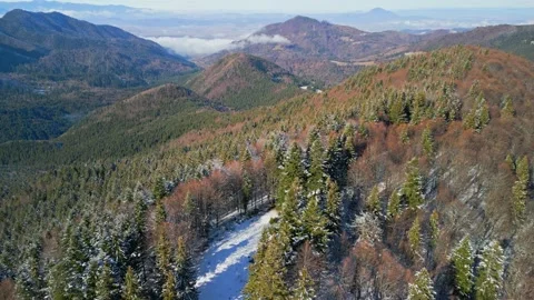 Bucegi Mountains Forest Stock Footage 231554760