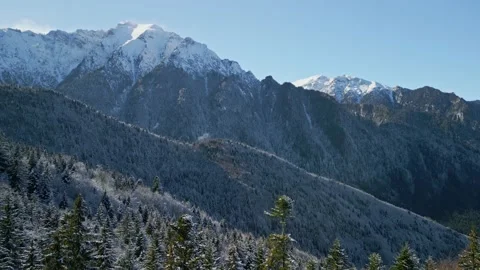Bucegi Mountains Forest Stock Footage 231554825