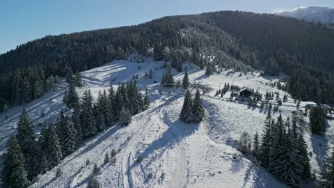 Bucegi Mountains Forest Stock Footage 231554893