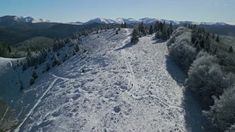 Bucegi Mountains Forest Stock Footage 231555144