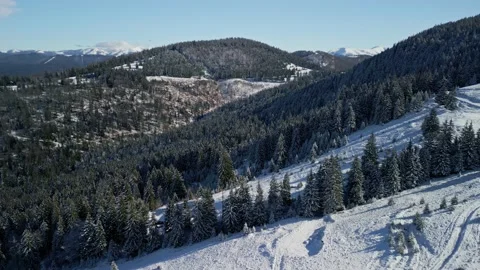 Bucegi Mountains Forest Stock Footage 231555402