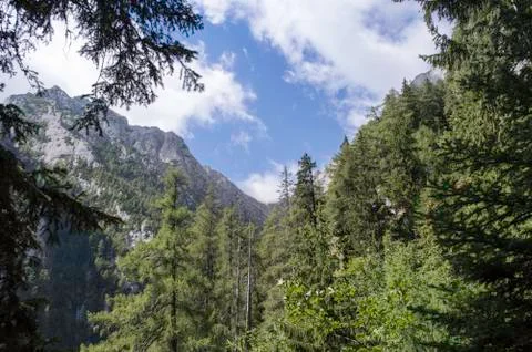 Bucegi mountains landscape in summer Stock Photos