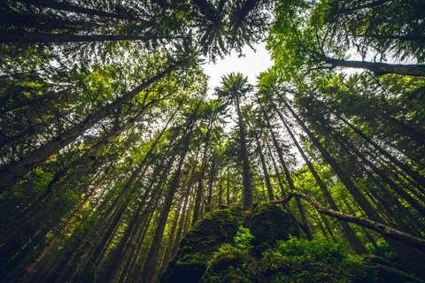 Bucegi Mountains Stock Photos