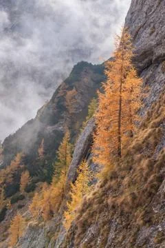Bucegi Mountains, Romania Stock Photos