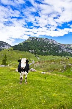 Bucegi mountains in Romania Stock Photos
