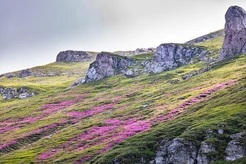 Bucegi mountains in Romania Stock Photos