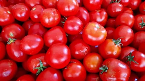Buch of fresh tomatoes Stock Footage 209160017