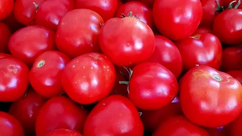 Buch of fresh tomatoes Stock Footage 209160037