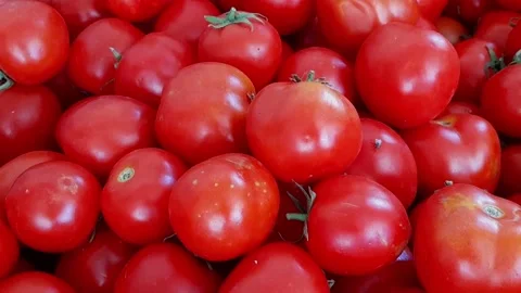 Buch of fresh tomatoes Stock Footage 209160054