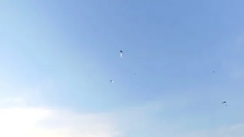 Bucharest 21 July 2017,Skydiver Parachuting , Extreme Sport Stock Footage 79913690