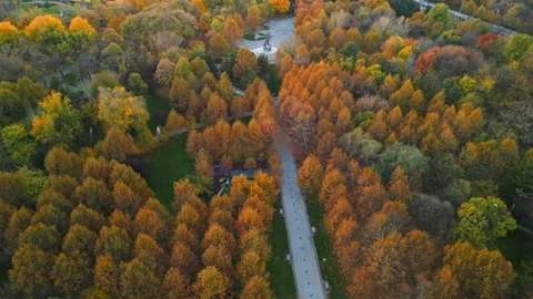 Bucharest Drone View in a Autumn Day Stock Footage 220520879