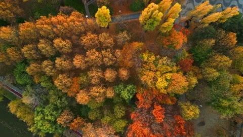 Bucharest Drone View in a Autumn Day Stock Footage 220521132