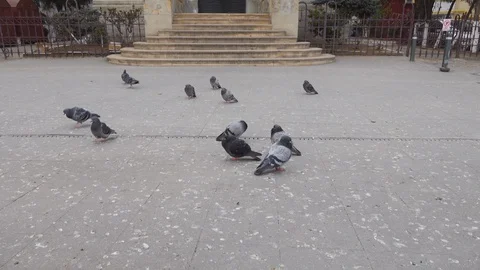 Bucharest Old Center is empty due to COVID-19 restrictions Stock Footage 128234697