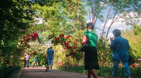 Bucharest, Romania - May, 28, 2016, Peoples admire roses in Botanical Garden Stock Footage 65382287