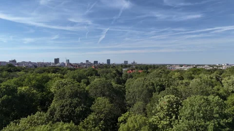 Bucharest skyline seen from above the green city park Stock Footage 320940752