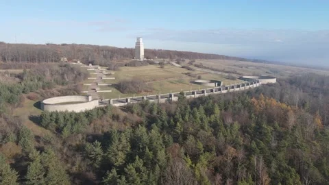 Buchenwald Stock Footage 219269687