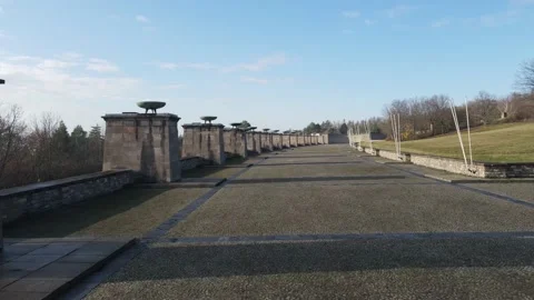 Buchenwald Stock Footage 219269697