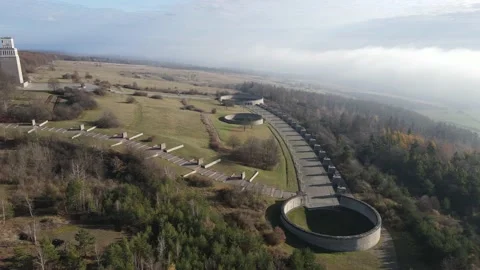 Buchenwald nature Stock Footage 219269679