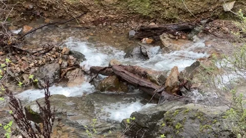 Buck Creek with log Stock Footage 278829804