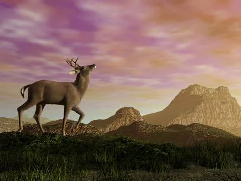 Buck in the mountain - 3D render Stock Illustration