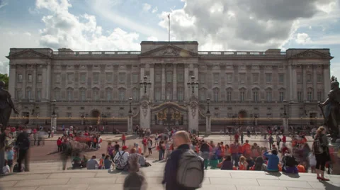 Buck Pal Mid Stock Footage 37257031