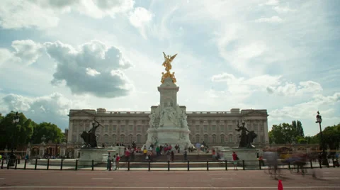 Buck Pal Widest Stock Footage 37259628