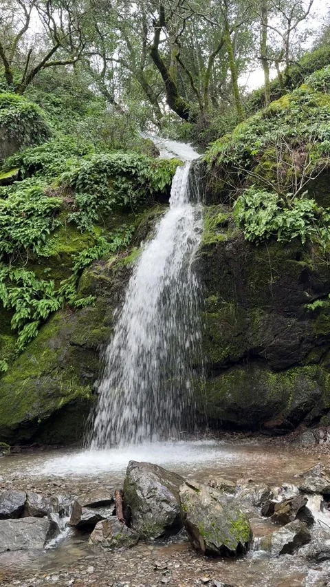 BuckCreekFalls Stock Footage 278829780