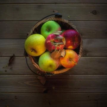 Bucket of assorted apples from above Foto stock
