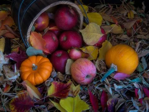 Bucket of assorted apples turned over Foto stock