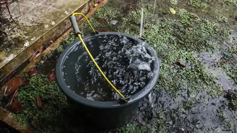 A bucket that collects raindrops Video stock 234576930