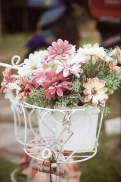 Bucket flowers Stock Photos