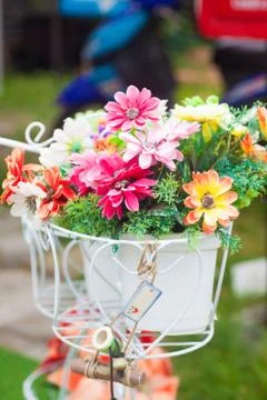 Bucket flowers Stock Photos