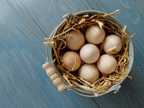 Bucket of fresh eggs 스톡 사진