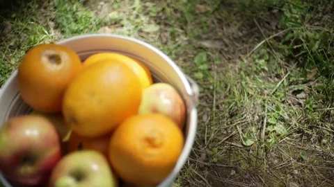 A bucket with fruit on the grass Stock Footage 70377122
